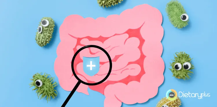 SIBO: Cómo se detecta y sus implicaciones en la salud
