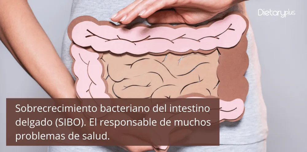 SIBO - El responsable de muchos problemas de salud.