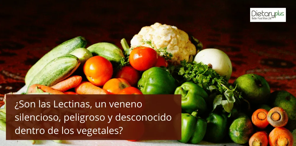 🖐️ ¿Son las lectinas un veneno oculto en tu dieta? Descubre su impacto en tu salud.