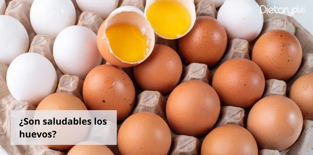 ¿Son saludables los huevos? - Método Redox