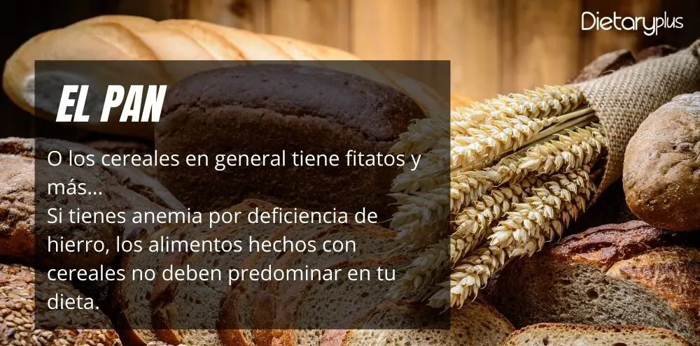El pan y los cereales contienen antinutrientes