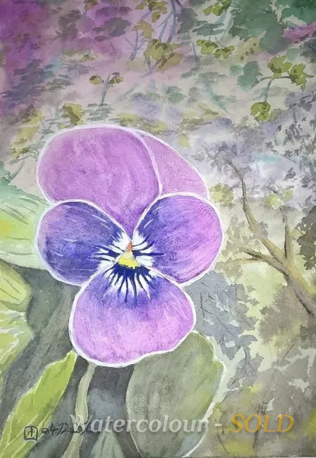 Pansy Flower - watercolour painting