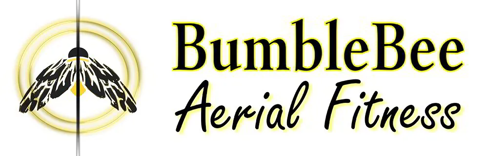 BumbleBee Aerial Fitness Logo