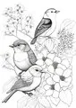 Fugler og blomster - 10 sider