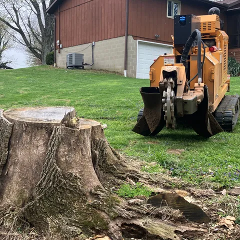 Stump Grinding in Zionsville, Indiana - Stones Stump Removal