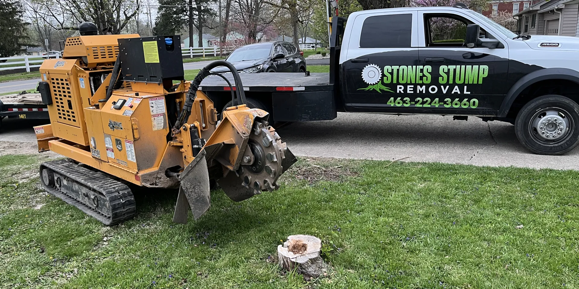 How Much Does Professional Stump Grinding Typically Cost in Indiana ...