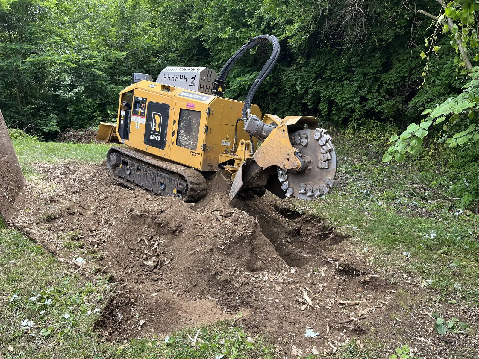 About our Stump Grinding & Removal in Central Indiana