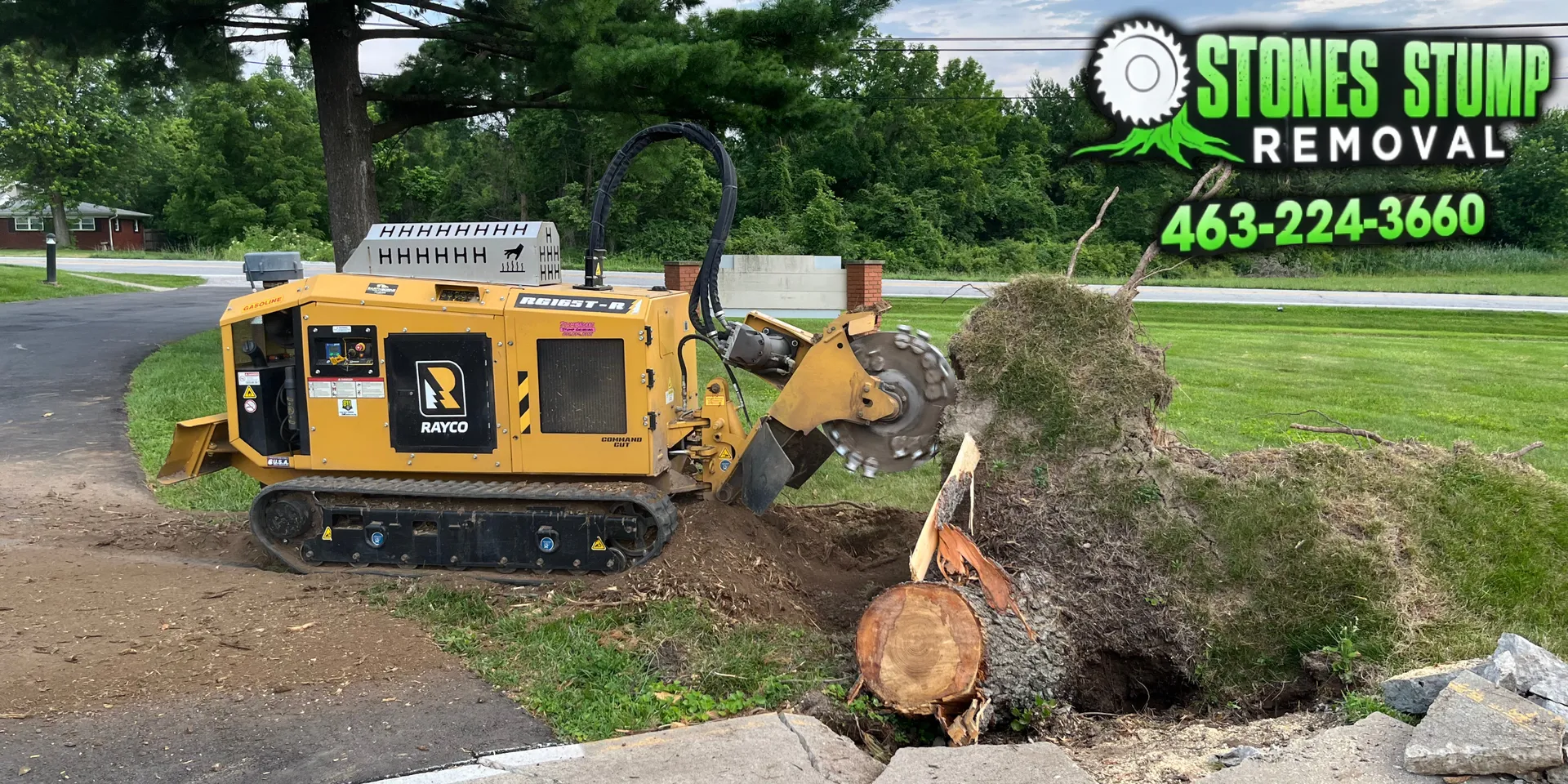 Stump Grinding Cost Near Me in Indianapolis: Complete Price Breakdown ...