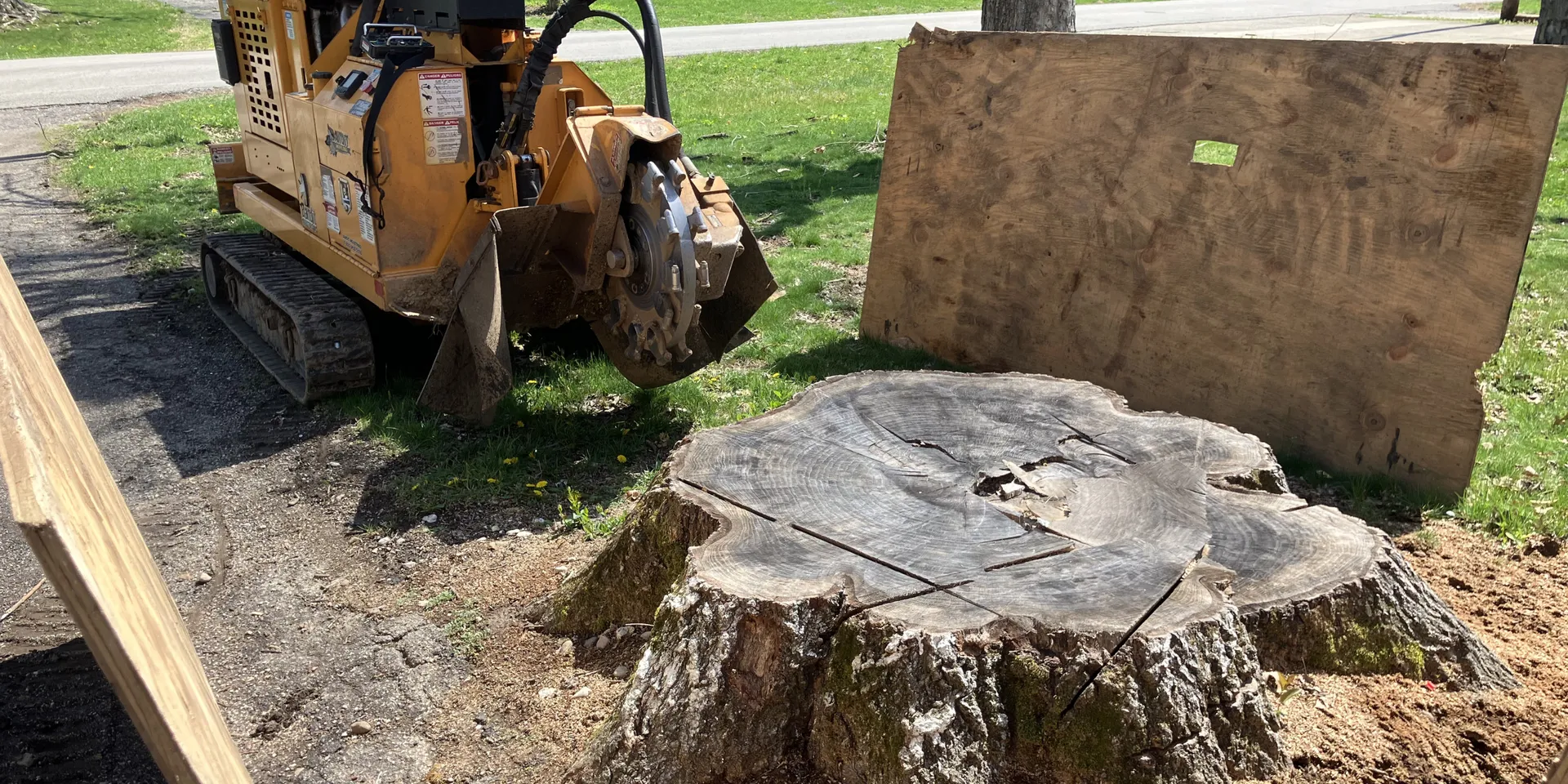 How Much Does Professional Stump Grinding Typically Cost in Indiana ...