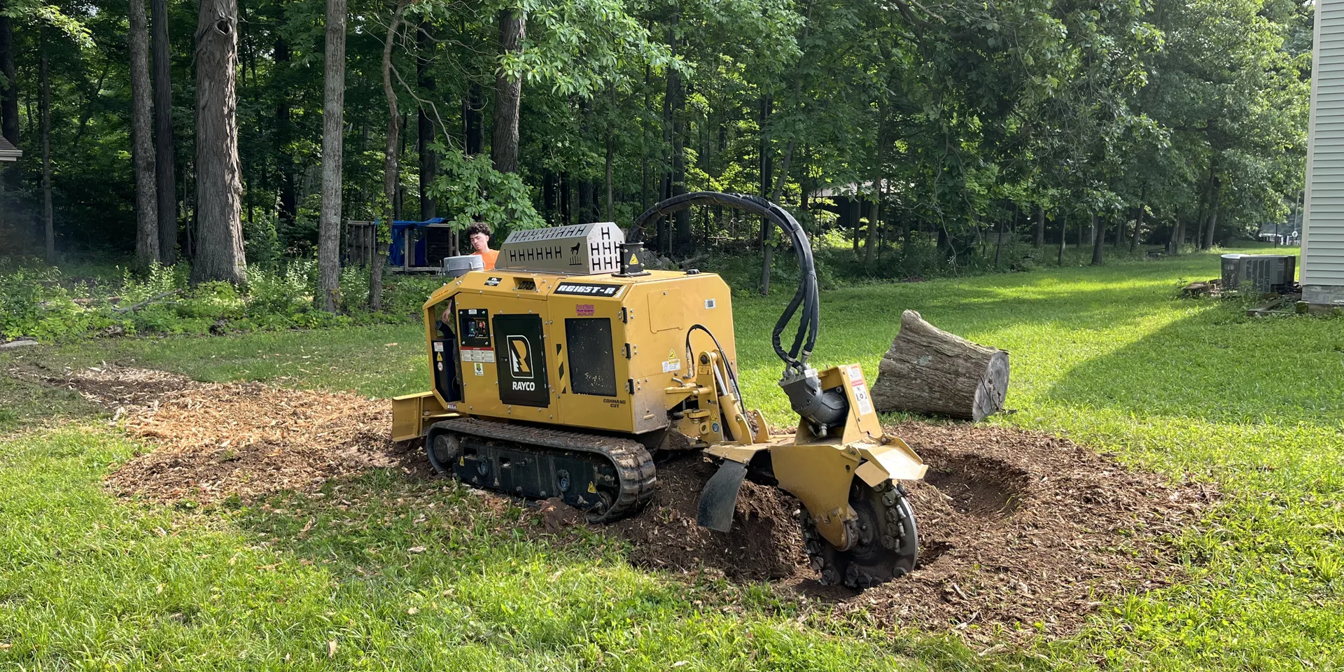 Stump Grinding Services Near Me — Indianapolis & Central Indiana by ...