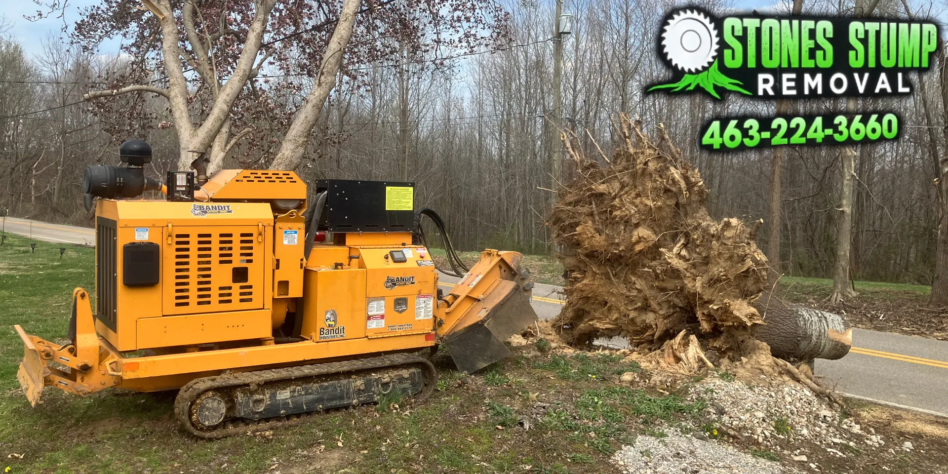 Stump Removal Indianapolis - Fast and Affordable Stump Grinding Company ...