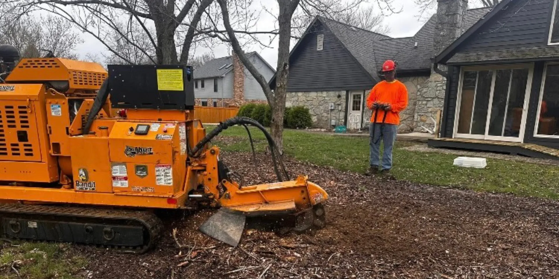 Stump Removal Indianapolis - Fast and Affordable Stump Grinding Company ...