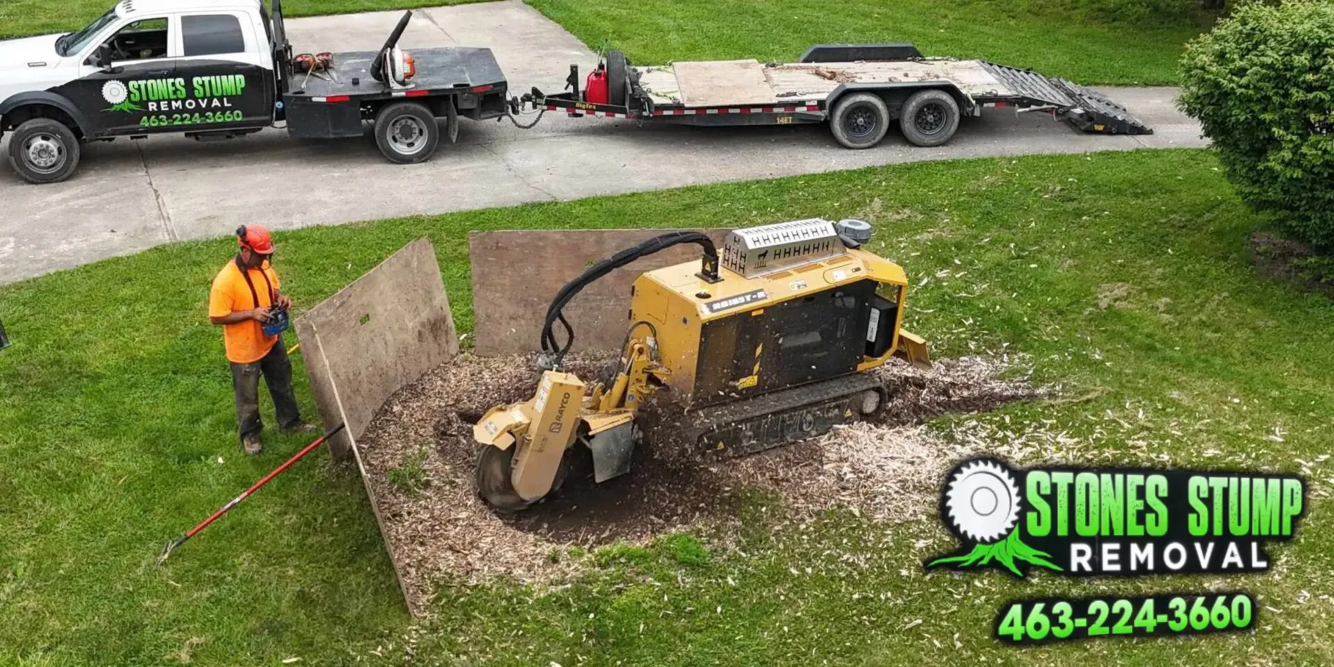 Why Professional Stump Removal is Essential for Your Central Indiana ...