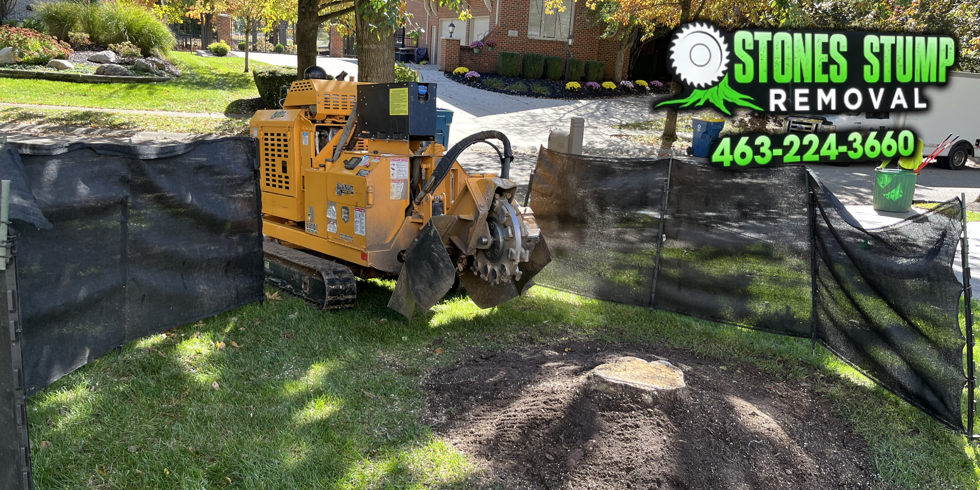 Tree Stump Removal & Grinding Services in Indianapolis — What’s ...