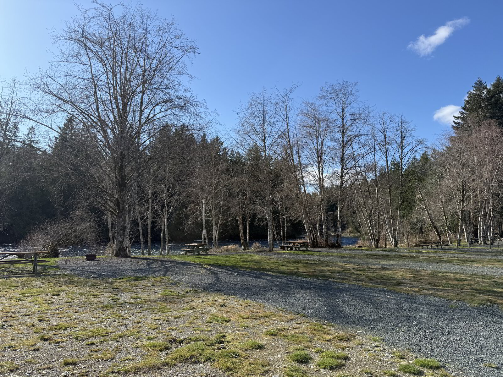 Coleman RV & Campground