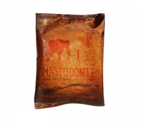 informacion sobre el mastodonte informacion sobre el mastodonte