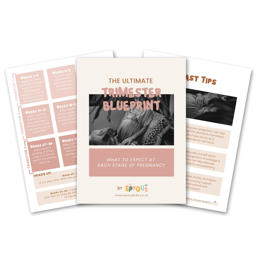 the-ultimate-trimester-blueprint-essential-pregnancy-guide-for-first