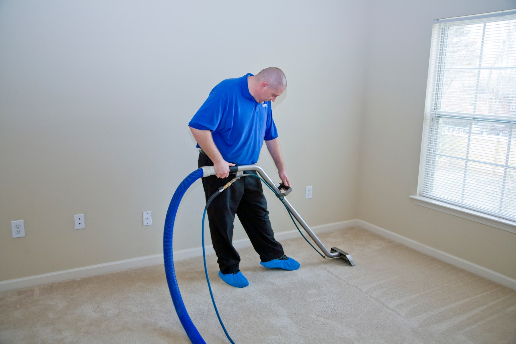 Should you clean your carpets when moving into a property?