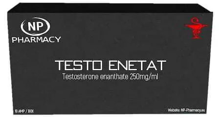 NP TESTO ENETAT Testosterone enantate 250ml/ml 10 AMP/BOX
