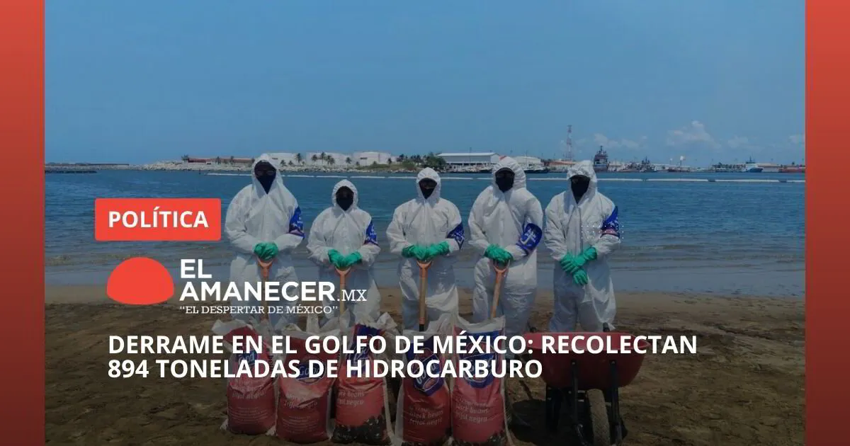 Derrame en el Golfo de México: recolectan 894 toneladas de hidrocarburo