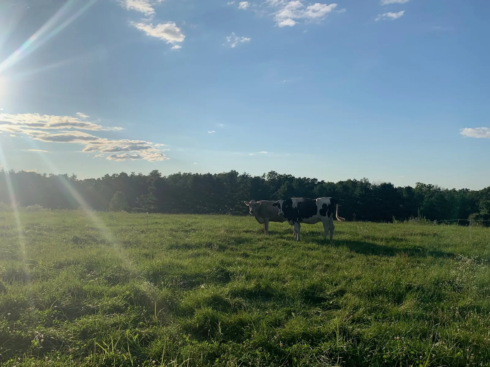 Fresh Start Farm LLC