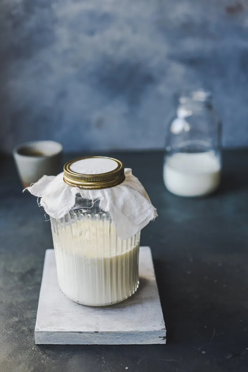 Milk Kefir Recipe and Tips, How To Make Milk Kefir