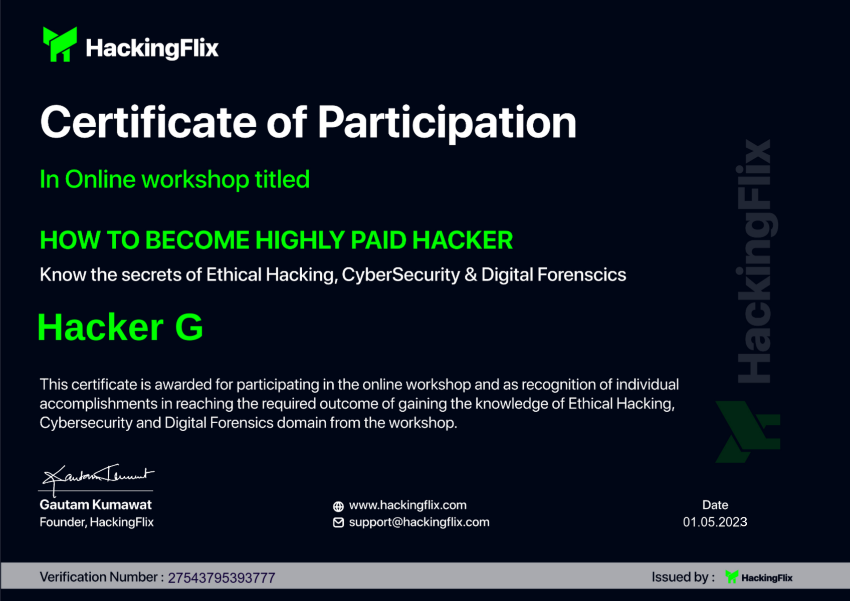 Online Hacking Workshop