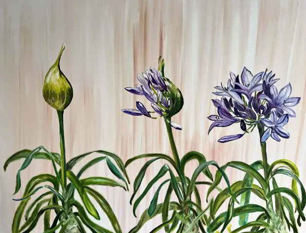 Oil painting of 3 phases of agapanthus growth