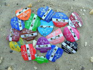 Additional Owner's Badges (6 MAX) for 2025