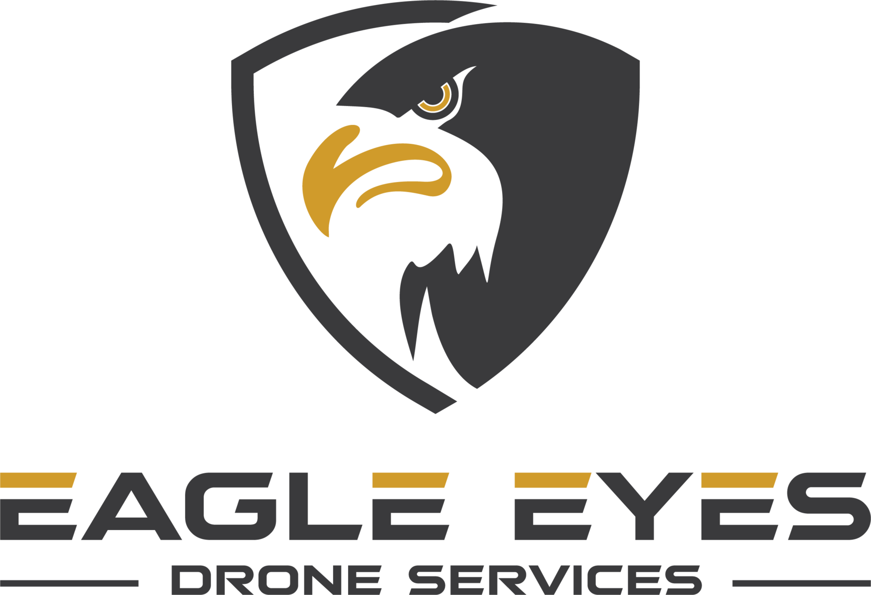 Drohnen Experte für Rettungseinsätze | Eagle Eyes