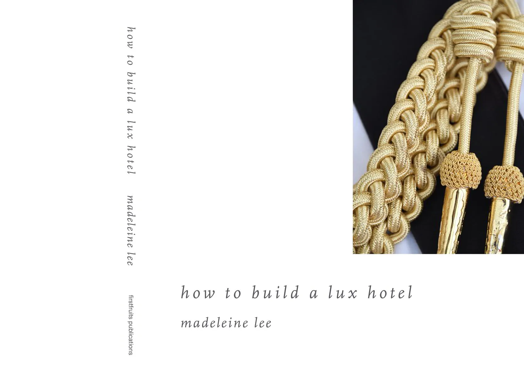 // how to build a lux hotel / madeleine lee