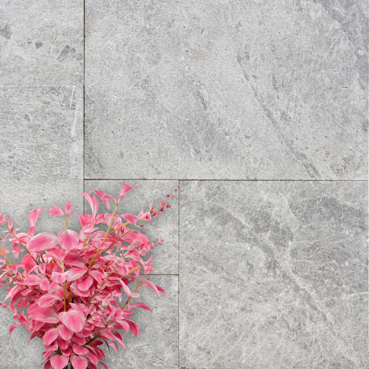 Tundra Grey Natural Stone Pavers