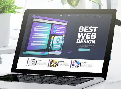 Custom Designed Website