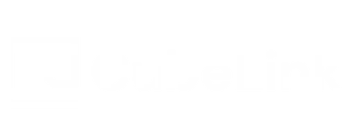 CubeLink