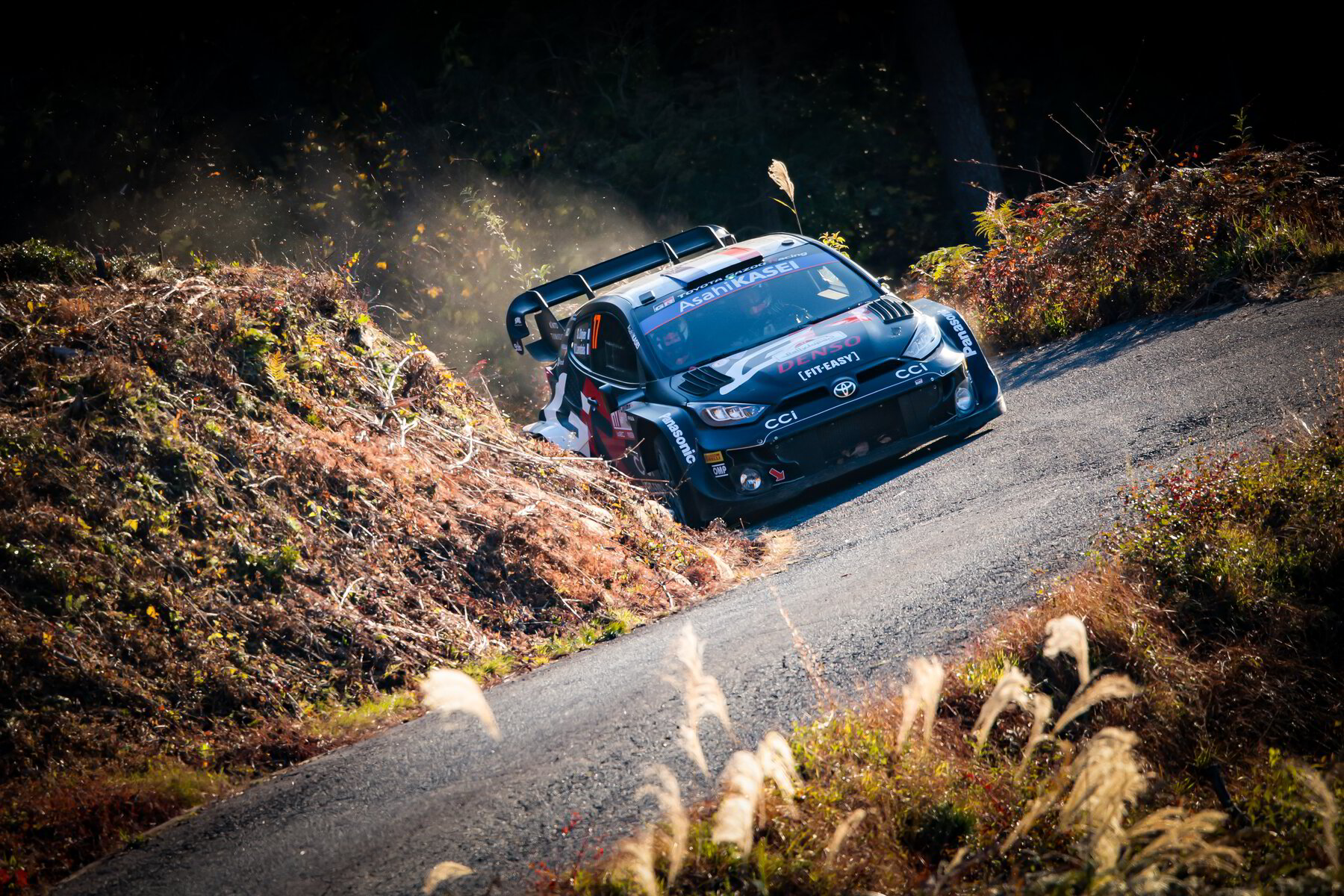 TOYOTA GAZOO Racing takes title with home