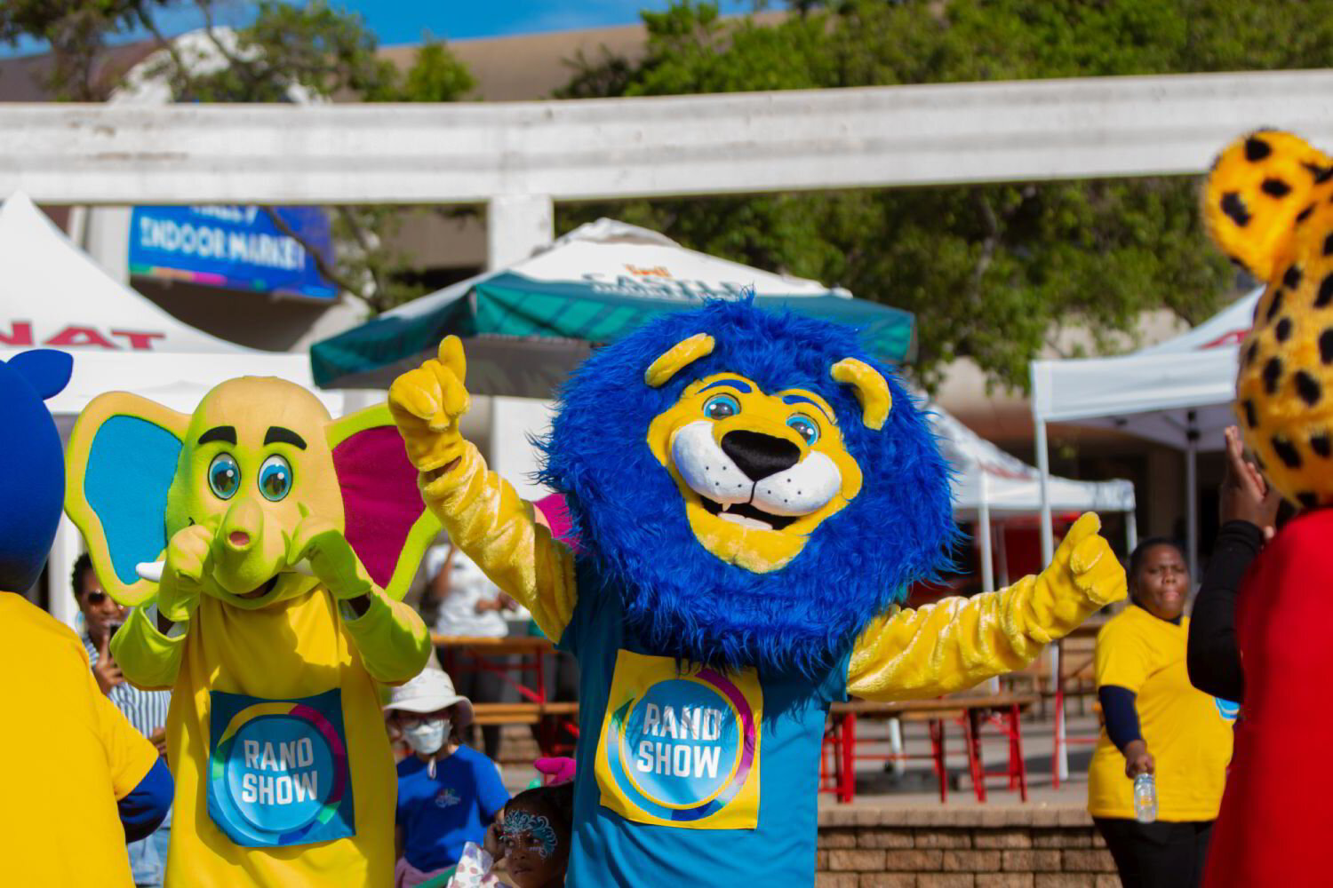 THE COUNTDOWN BEGINS SO MANY GOOD REASONS TO VISIT THE 2023 RAND SHOW