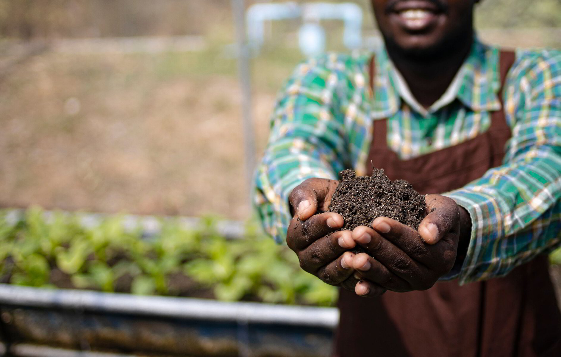 UNEARTHING TRUTHS The Reality of Conventional Farming vs Biological Farming