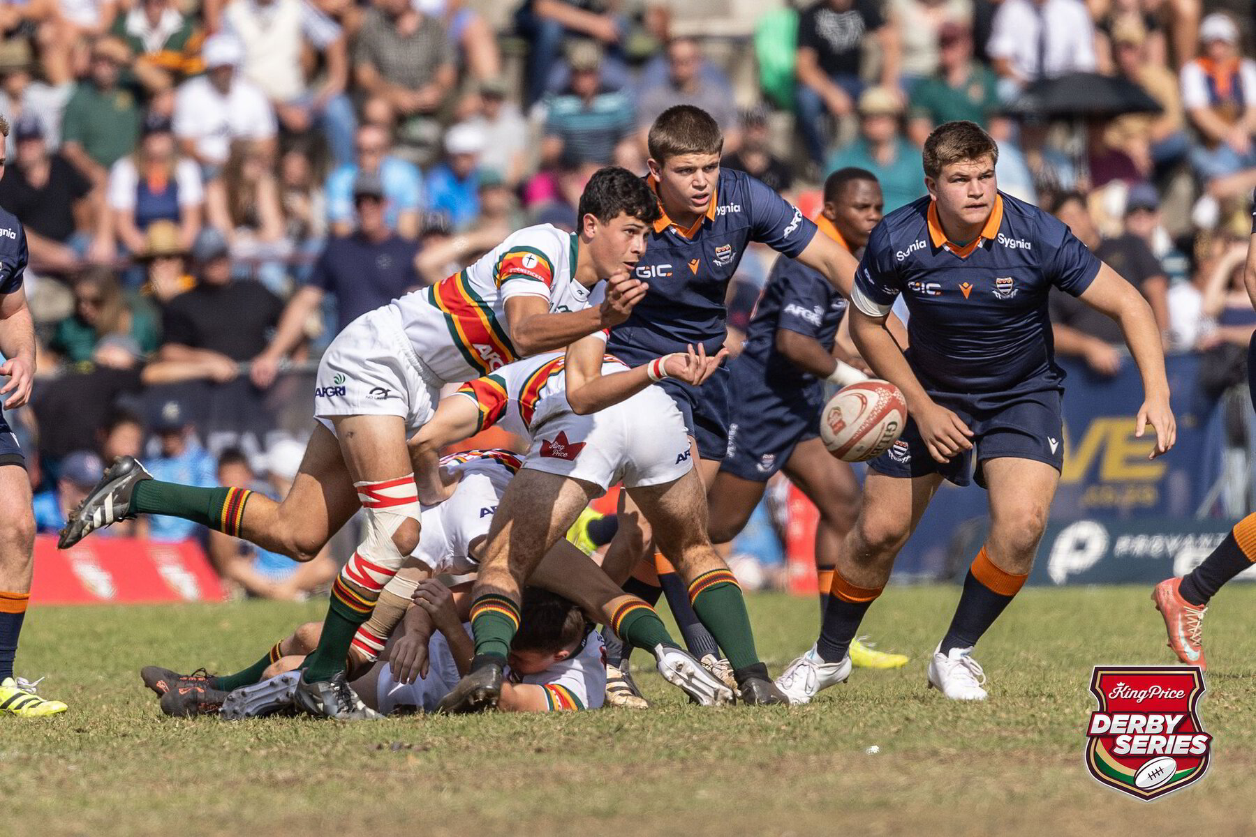 Affies stun Grey as Derby Series delivers another cracking weekend