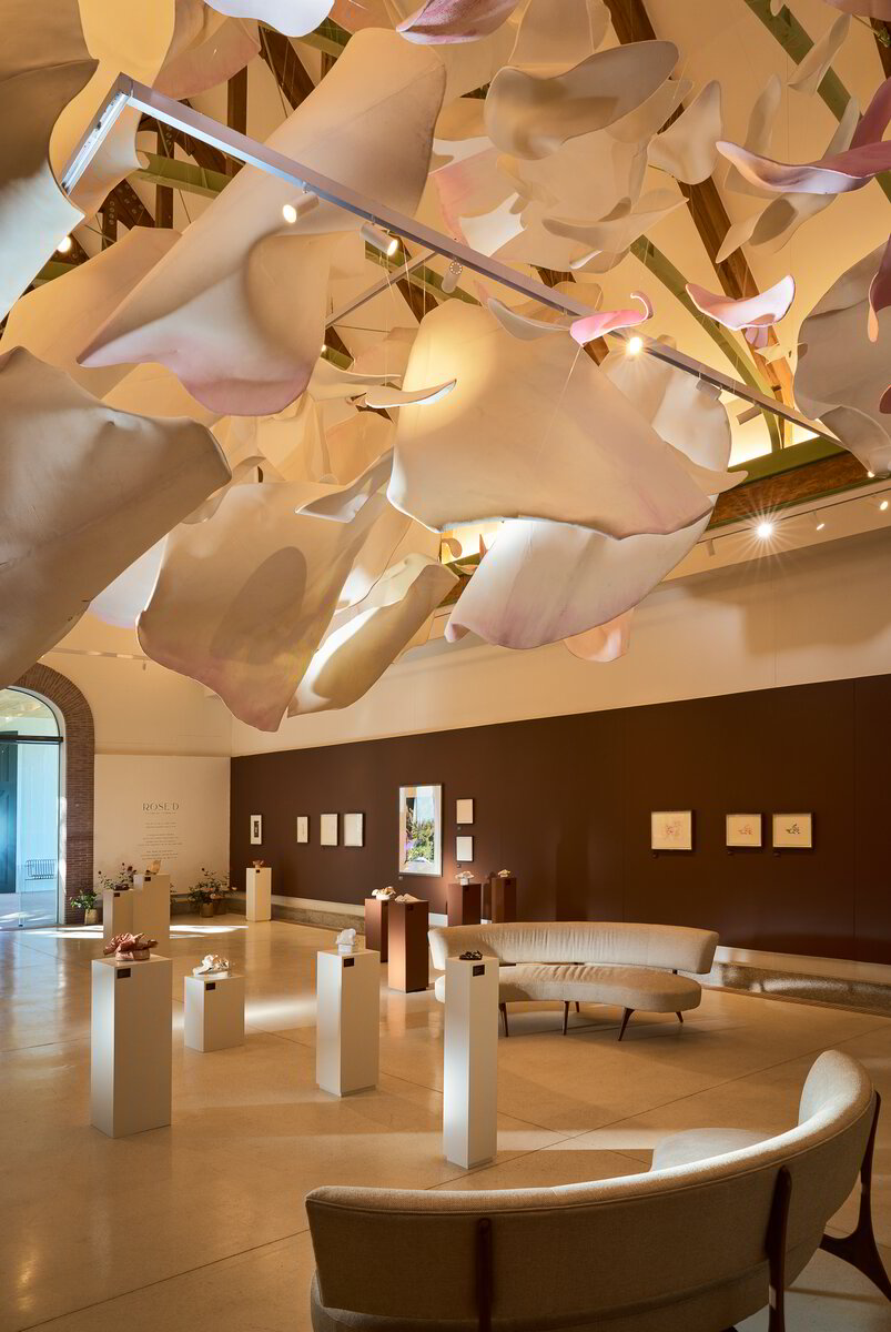 Atelier De Rots Diary Snippet: Art Talk - Peeling back the Petals, a Focus on Flowers ...