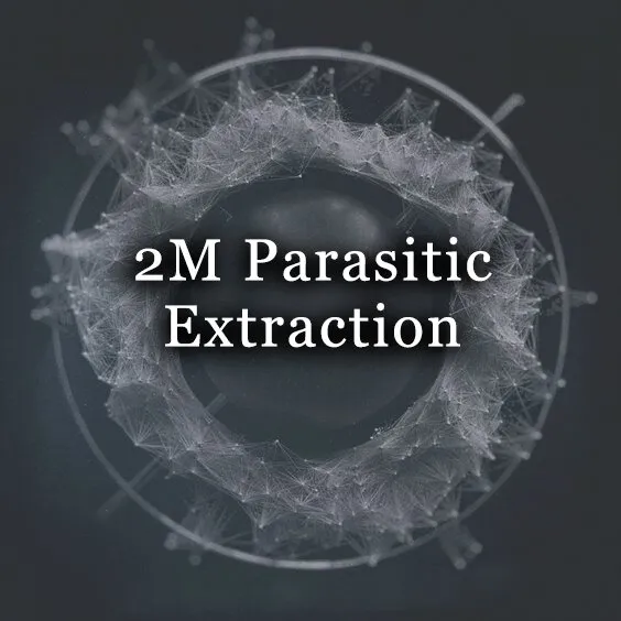 2M Parasitic Extraction ™️ 