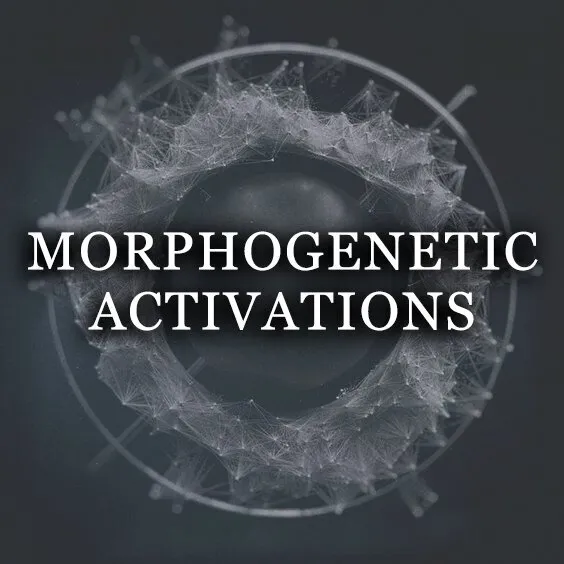 MORPHOGENETIC ACTIVATIONS