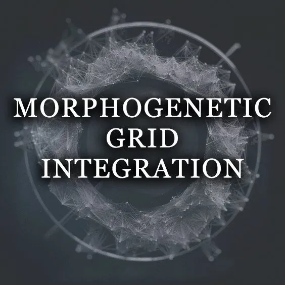 MORPHOGENETIC GRID INTEGRATION