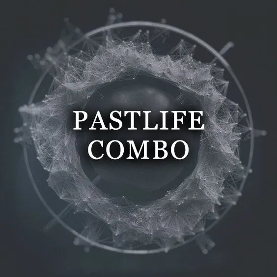 PASTLIFE COMBO