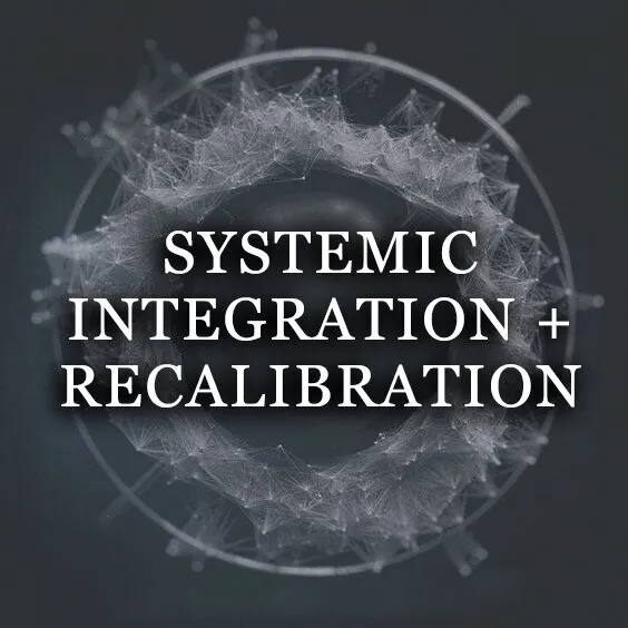 SYSTEMIC INTEGRATION + RECALIBRATION