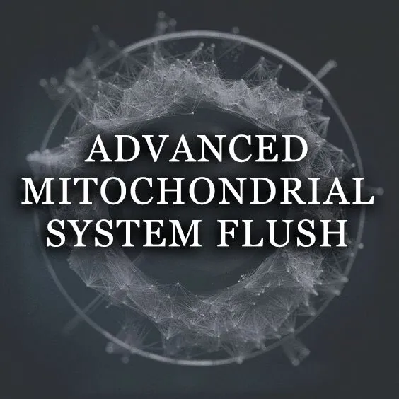ADVANCED MITOCHONDRIAL SYSTEM FLUSH