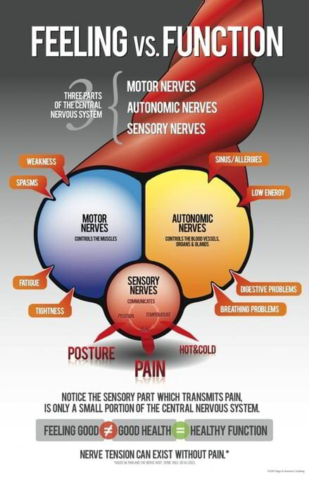 pain-vs-function