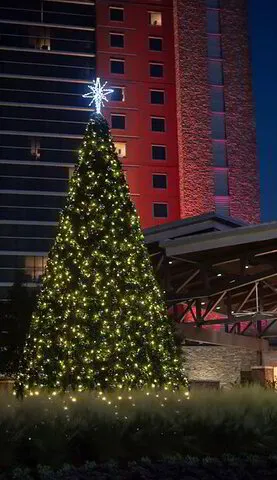 Giant Christmas Tree - Jubilee Decor