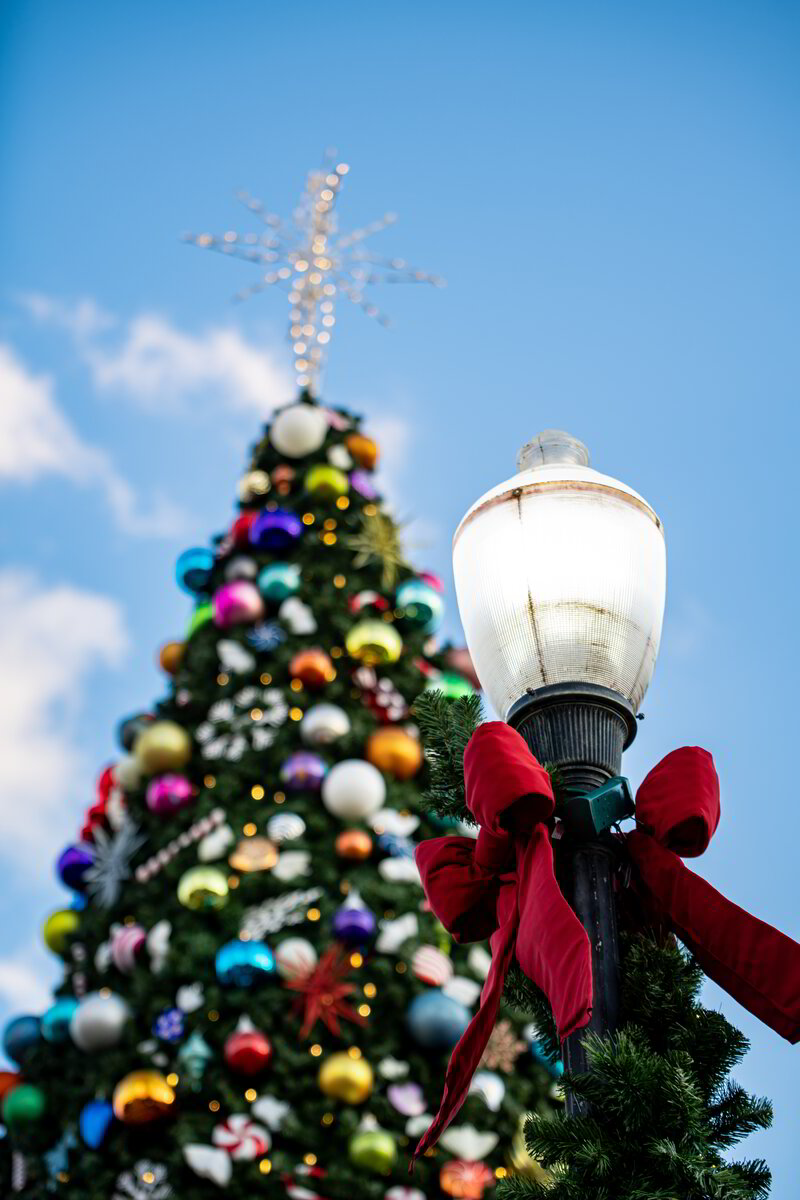 Giant Commercial Christmas Trees for Holiday Celebrations Jubilee Decor