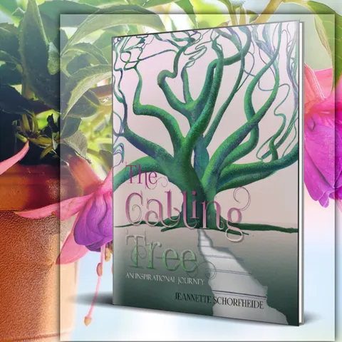 Books Published by Soul Sonshine LLC | Author Showcase