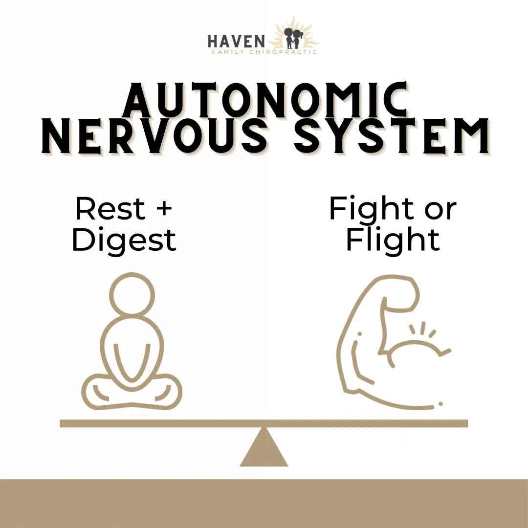 Parasympathetic Nervous System: The Key To Healing Your Child's Chronic